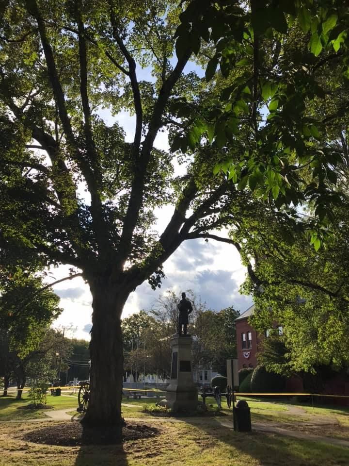 Plaistow mourns death of oldest park tree